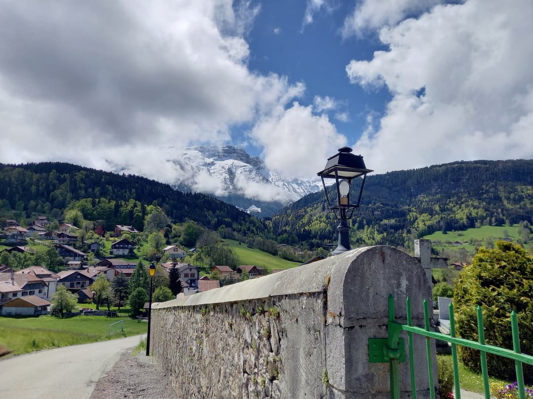 Le Tétras-lyre: programme Mont-Saxonnex